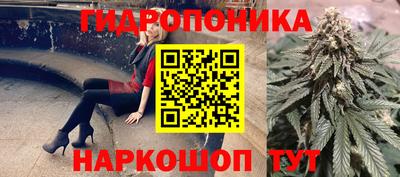 ГАЛЛЮЦИНОГЕННЫЕ ГРИБЫ Можга