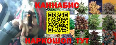 ГАЛЛЮЦИНОГЕННЫЕ ГРИБЫ Можга