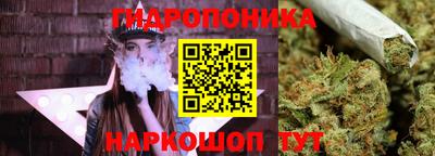 ГАЛЛЮЦИНОГЕННЫЕ ГРИБЫ Можга